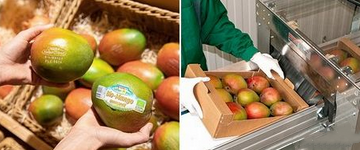 奧地利Spar推出激光打標(biāo)芒果新品牌 奧地利Spar推出激光打標(biāo)芒果新品牌