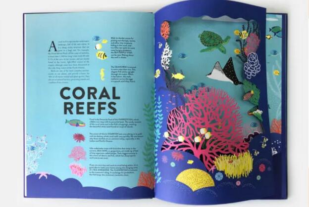 激光鏤空兒童繪本 開啟知識的海洋